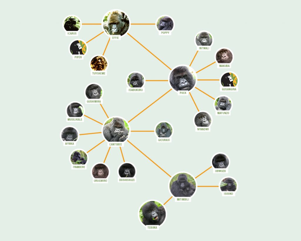 tree graphic